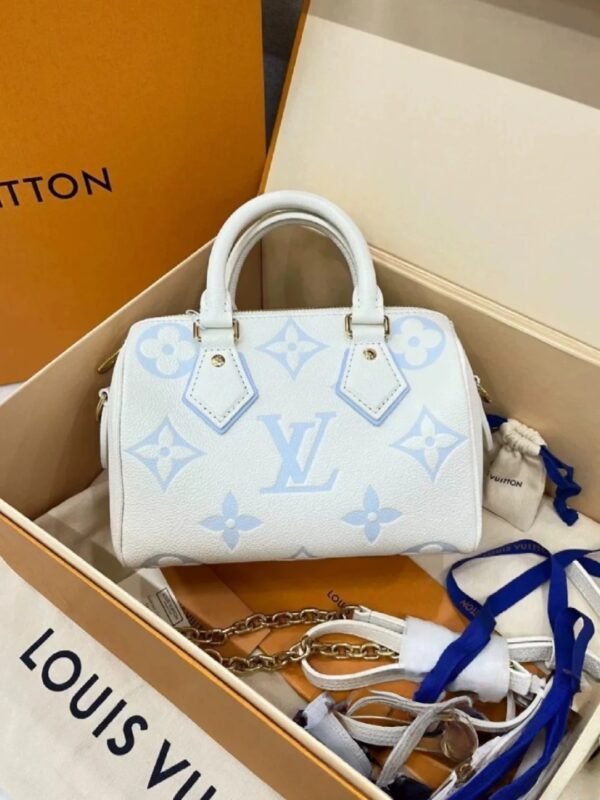 LOUIS VUITTON Speedy 20