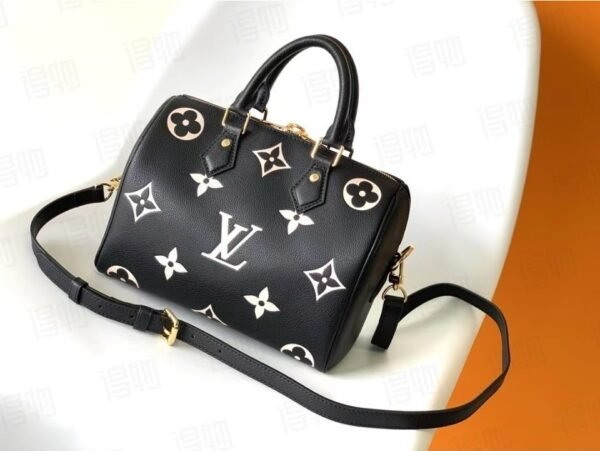 LOUIS VUITTON Speedy